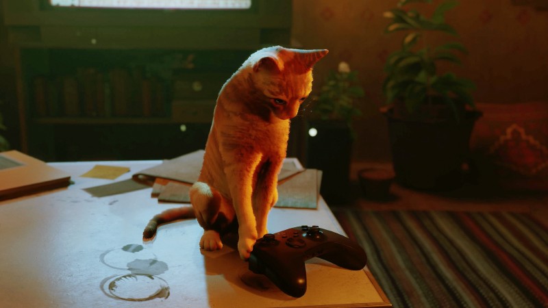 Stray Xbox Release Date New Trailer Series X/S Gameplay Annapurna Interactive Cat Game